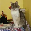 Отзыв от Галина Мельникова